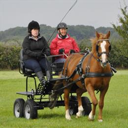 Try Carriage Driving Gallery
