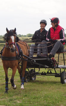 A newcomer to Carriage Driving, having a Carriage Driving Lesson at Bennington Centre