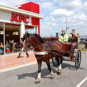 June 2011 - Kentucky Fried Carriage!