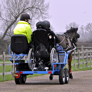 Wheel chair and semi ambulant carriages