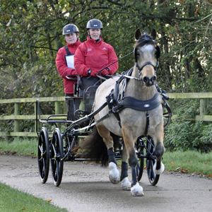 Carriage Driving - December 2014
