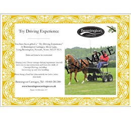 'Carriage Driving' Gift Voucher