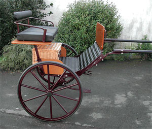 Bennington Intro 2 Wheeler