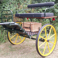 Bennington Mini 2 Wheeler 