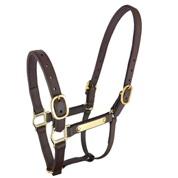 Epsom PW Deluxe Halter