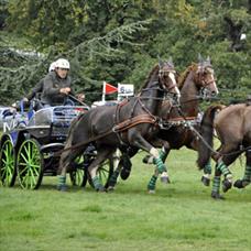 Osberton 2019 27