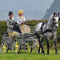 Osberton 2019 02