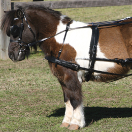 Zilco SL - Harness Sets and Parts