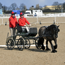 2022 Indoor Carriage Driving Championships Arena UK