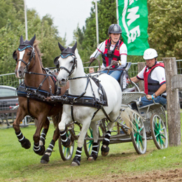 Horse Driving Trials