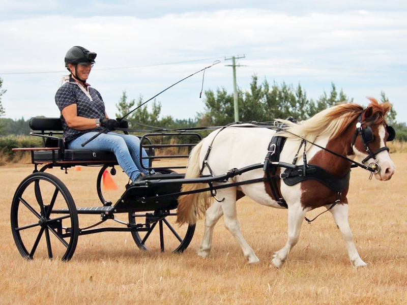 Bennington Mini 2 wheeler in New Zealand