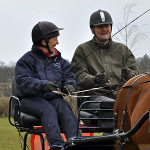 March 2013 - 'Have a go at Carriage Driving'