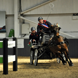 2013 - Indoor Championships Gallery