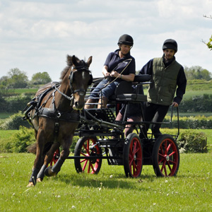 2014 Brackenhurst 07