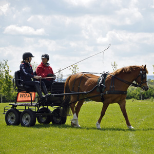 2014 Brackenhurst 08