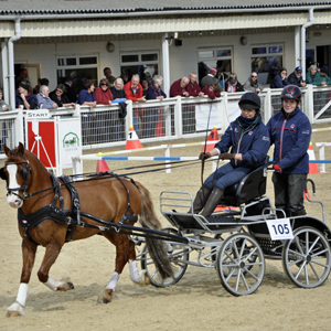 Osberton Horse Trials