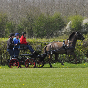 2015 Brackenhurst 08