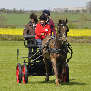 2015 Brackenhurst 14