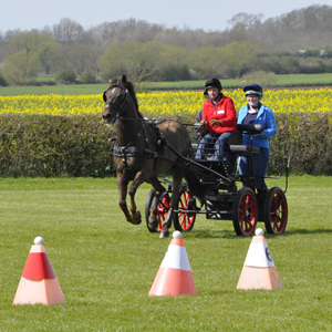 2015 Brackenhurst 19