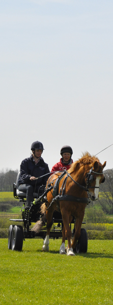 2015 - Brackenhurst