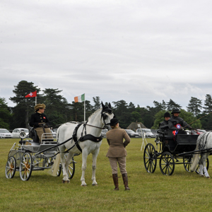 2015 Sandringham 19