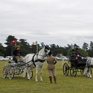 2015 Sandringham 19