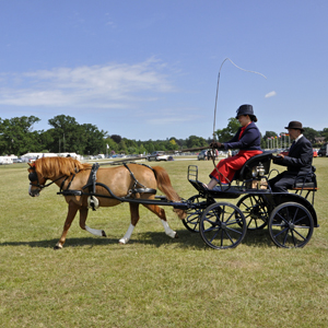 2015 Sandringham 28