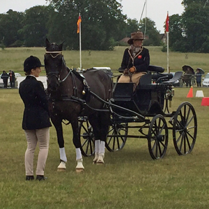 2015 Sandringham 32