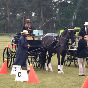 2015 Sandringham 35