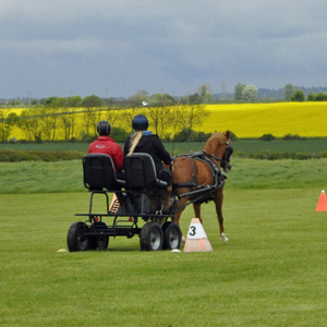 2016 Brackenhurst 06