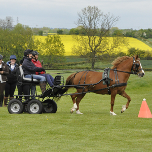 2016 Brackenhurst 08