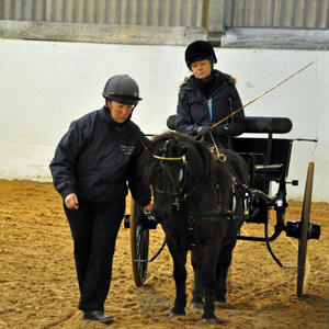 2016 - Shetland Pony Driving Clinic