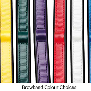 Coloured Browband