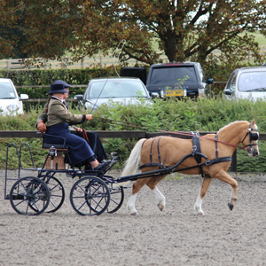 Addington 2014 04