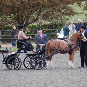 Addington 2014 05