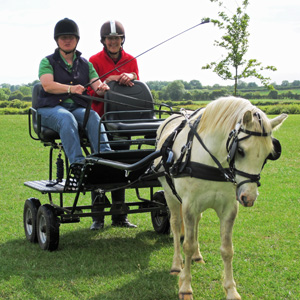 All Horse - July 2011