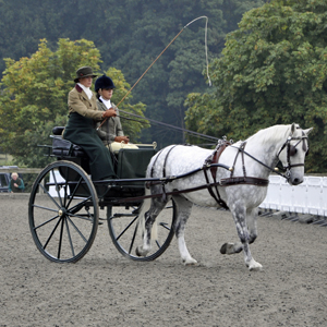 BDS SHow 2013 12