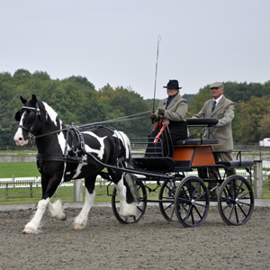 September 2013 - BDS National Championships at Addington