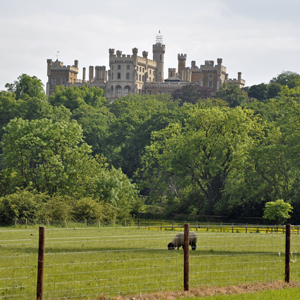 2014 - Belvoir Castle