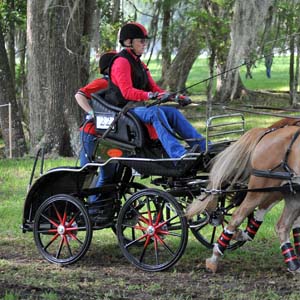 Bennington Pony Pair XL in USA
