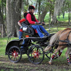 Bennington Pony Pair XL in USA