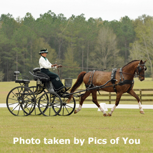 Bennington Presentation Carriage in USA