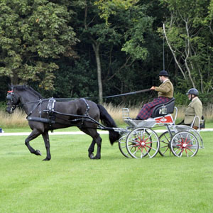 2014 - National CarriageDriving Championships