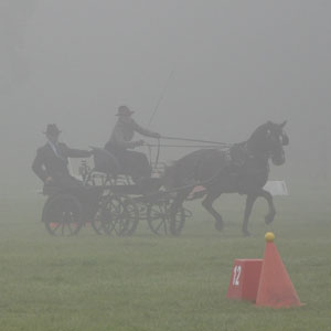 Cirencester 2015 43