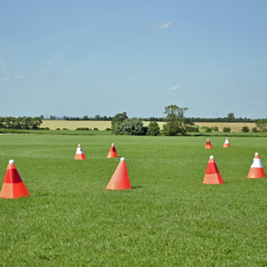 Cones Masterclass - April 2014