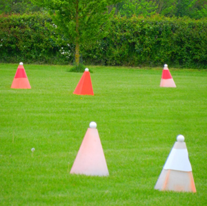 Cones 2015 03