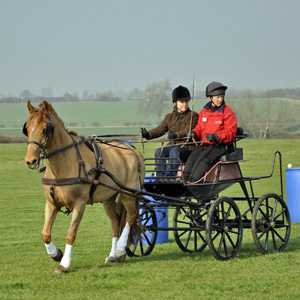 March 2012 - Driving Back to Sport - Session 4