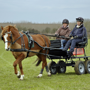 February 2013 - 'Have a go at Carriage Driving'
