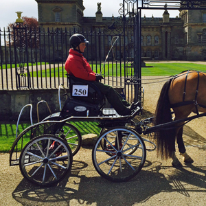 Grimsthorpe 2016 02