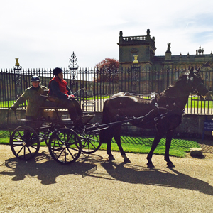 Grimsthorpe 2016 01